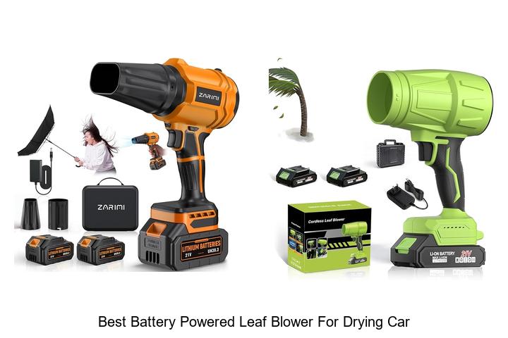 Top 12 Best Battery Powered Leaf Blower For Drying Car Quickly