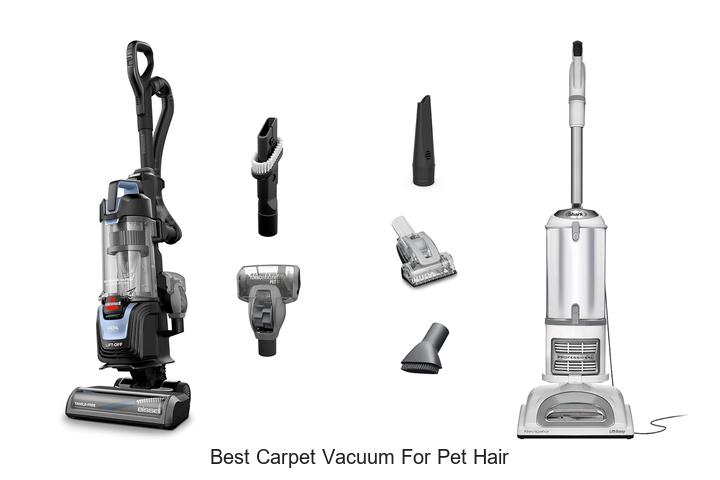 Top 12 Best Carpet Vacuum for Pet Hair That Blow Minds