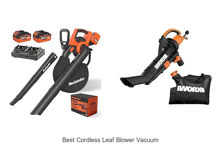 Top 12 Best Cordless Leaf Blower Vacuum You Need Now