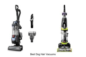 Top 10 Best Dog Hair Vacuums You Can’t Live Without