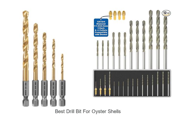 Top 12 Best Drill Bit for Oyster Shells You Need Now