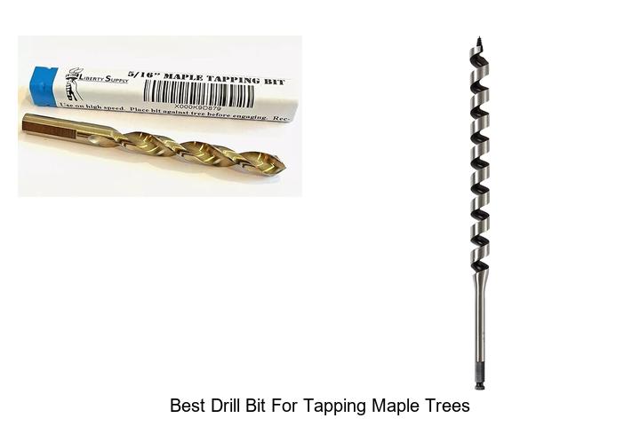 Top 12 Best Drill Bit for Tapping Maple Trees Revealed!