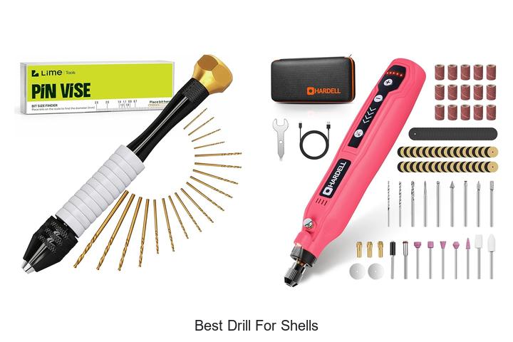 Top 10 Best Drill For Shells That Will Blow Your Mind!