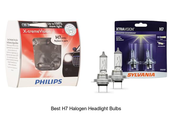 Top 12 Best H7 Halogen Headlight Bulbs You Need Today