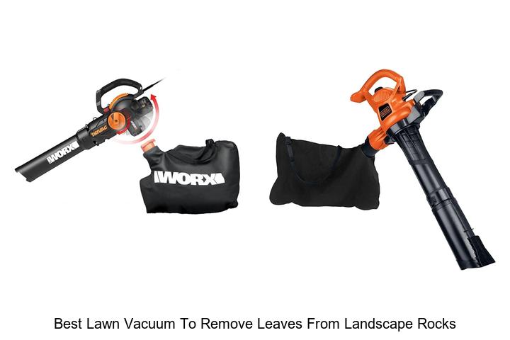 Top 10 Best Lawn Vacuum to Remove Leaves from Landscape Rocks Fast