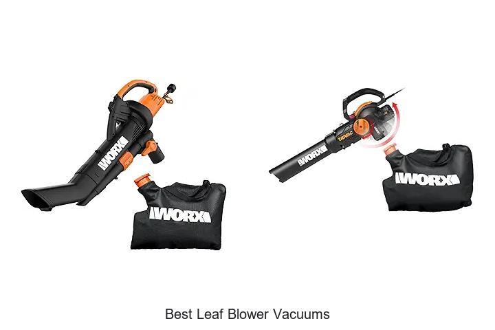 Top 12 Best Leaf Blower Vacuums That Will Blow You Away