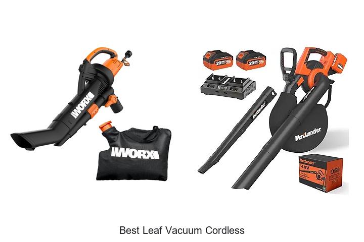 Top 10 Best Leaf Vacuum Cordless That Will Blow You Away!