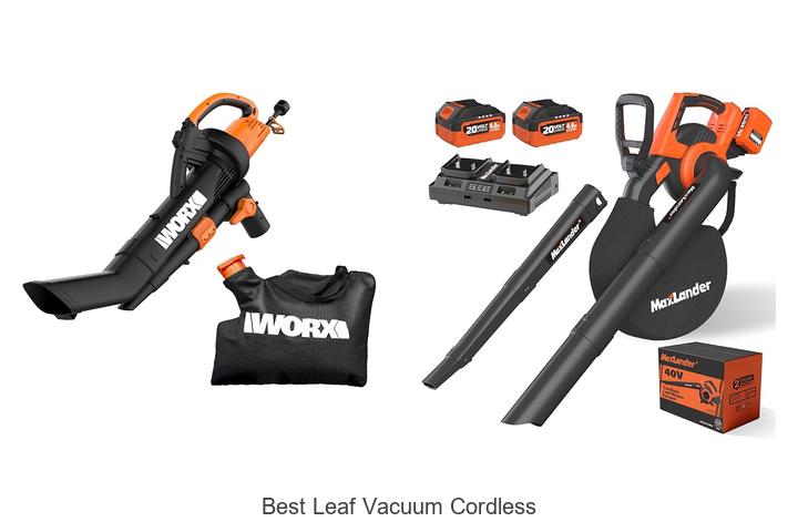 Top 10 Best Leaf Vacuum Cordless That Will Blow Your Mind!