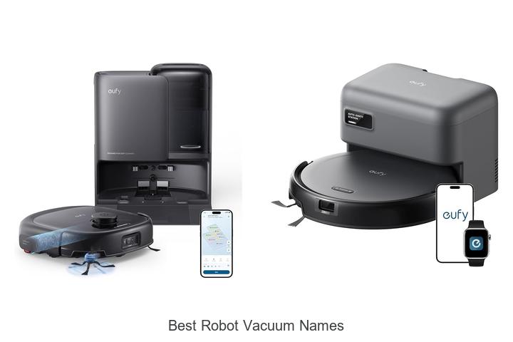 Top 12 Best Robot Vacuum Names That Will Wow You