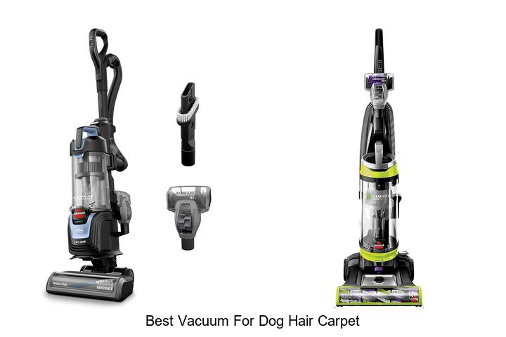 Top 12 Best Vacuum For Dog Hair Carpet You Can’t Miss
