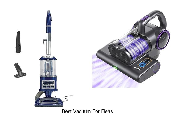 Top 10 Best Vacuum for Fleas You Can’t Live Without