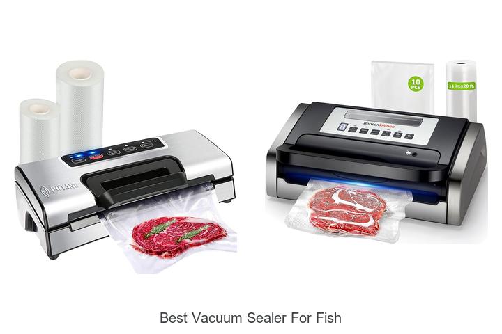 Top 10 Best Vacuum Sealer For Fish That Will Blow Your Mind