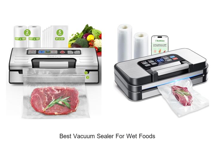 Top 10 Best Vacuum Sealer for Wet Foods You Must Try Now