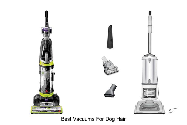 Top 12 Best Vacuums for Dog Hair That Will Blow Your Mind